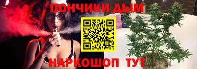 индика Кулебаки