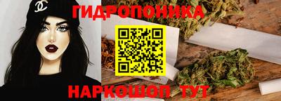 индика Кулебаки