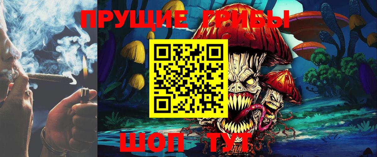Псилоцибиновые грибы Psilocybine cubensis  Вход с VPN  Черняховск  Псилоцибиновые грибы Psilocybine cubensis 