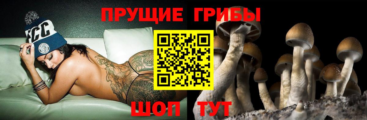 Галлюциногенные грибы Magic Shrooms Черняховск